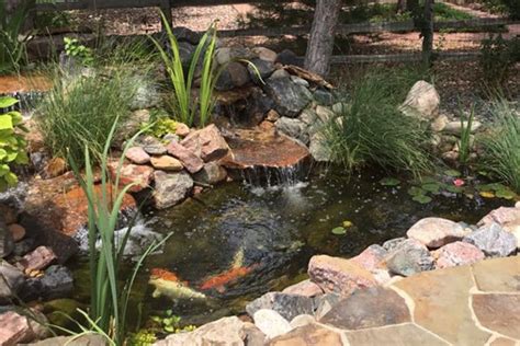 Koi Pond Water Feature Maintenance For Winter Art Of The Yard