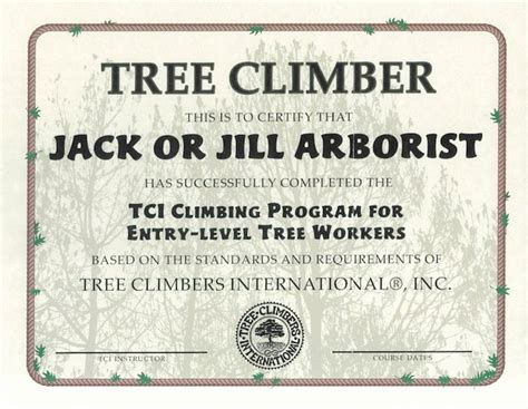 Tree Worker Program Tree Climbers International Arborist Climbers
