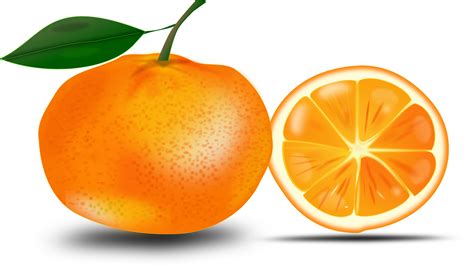 How Much Vitamin C In An Orange Nutritional Value Biologysir