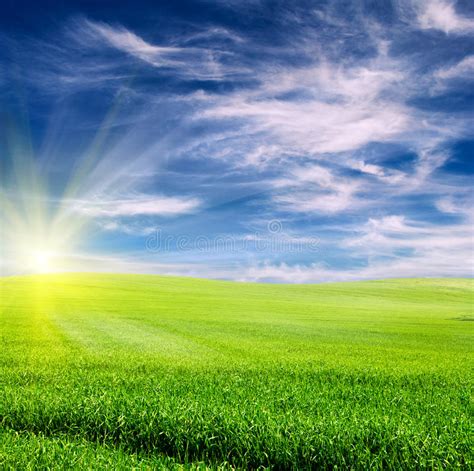 Field Over Cloudy Blue Sky Stock Photo Image Of Meadow 21952960