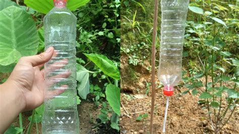 How To Make Drip Irrigation With Plastic Bottles Can Be Done For Free