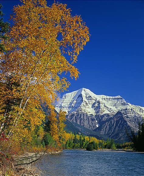 1m2439 V Mt Robson And Fraser River In Autumn Photograph By Ed Cooper