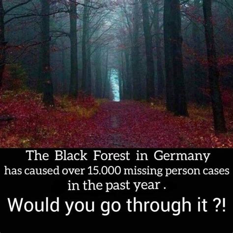 Pin By Nesrin Balabay On Animals Haunted Forest Black Forest