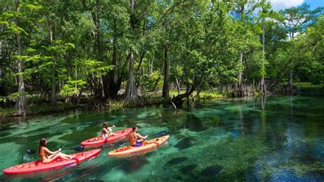 Discover The Nature of Things in Suwannee County, Florida - YouTube