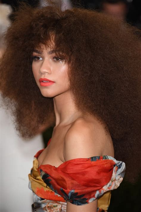 Zendayas Brushed Out Afro At The Met Gala In 2017 Zendayas Best