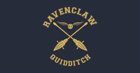 Ravenclaw Quidditch Team Hih