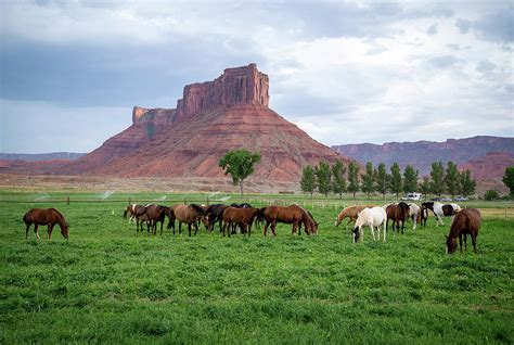 Sorrel River Ranch Landscape Photograph By Julie Barrick Fine Art America