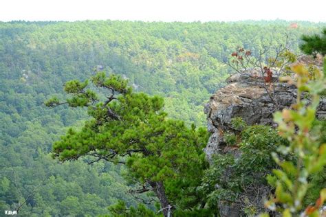 Overlook At Petit Jean State Park By Larry Moore On Capture Arkansas