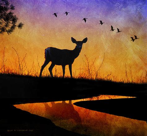 Doe Silhouette Painting By R Christopher Vest