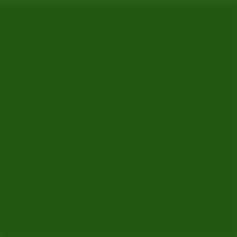 Download Free 100 Forest Green Background
