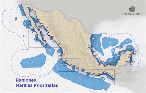 Regiones Marinas Prioritarias De México Biodiversidad Mexicana