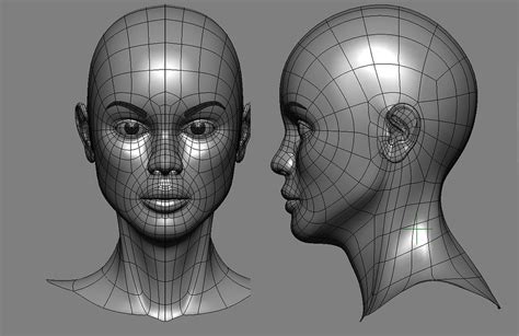 Face Model Works In Progress Blender Artists Community