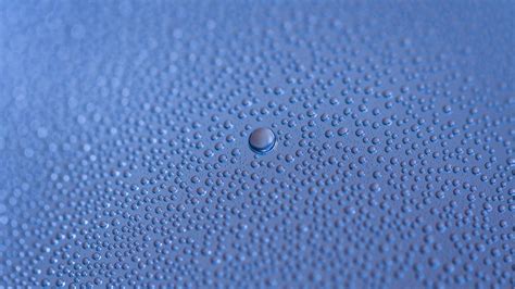 Wallpaper Drops Bubbles Moisture Surface Macro Blur Hd Picture Image