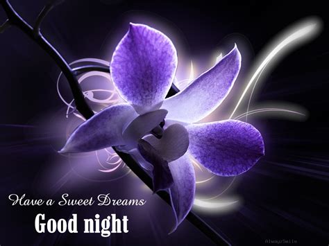 Have A Sweet Dreams Good Night Quote