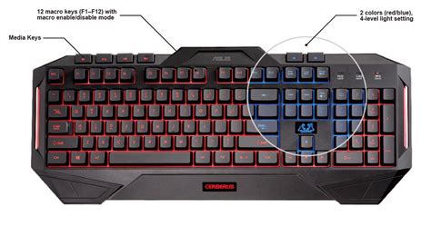 In the case that the spacebar on your keyboard has a keyboard icon on its left side, hold the function (fn) key and hit the spacebar once. Cerberus Keyboard | Keyboards & Mice | ASUS USA