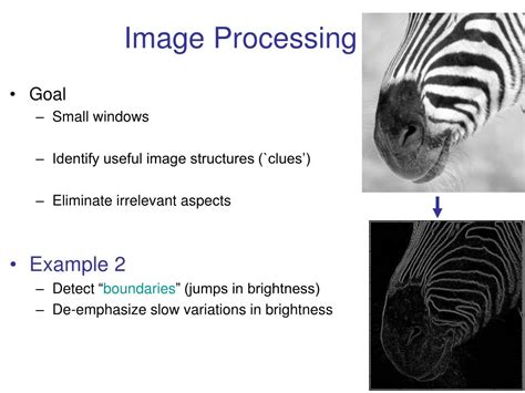 Ppt Image Processing Powerpoint Presentation Free Download Id1966122