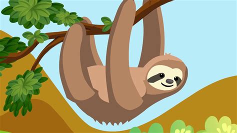 Sloth Interesting Facts About Sloth For Kids Youtube