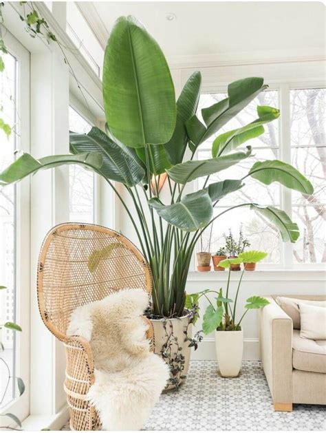 38 Best Tropical Style Decorating Ideas And Designs For 2020