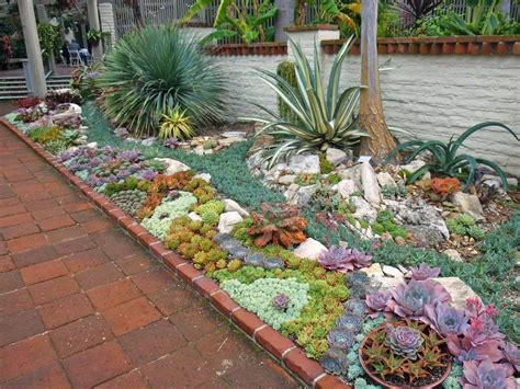 20 Ideas Para Decorar Un Lindo Jardín Con Suculentas Succulent Rock