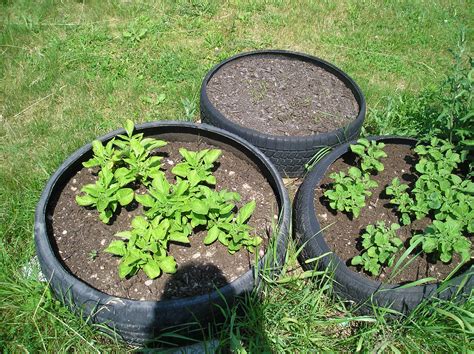 Tire Planters Raised Bed Gardening Talesofkizmit