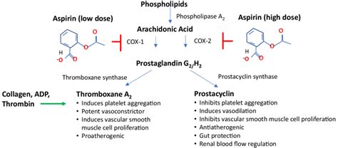 Mechanism Of Action Of Aspirin And Cox Inhibition Prostaglandins