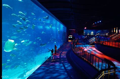 Book Sea Aquarium Sentosa Singapore Ticket Online Klook Malaysia