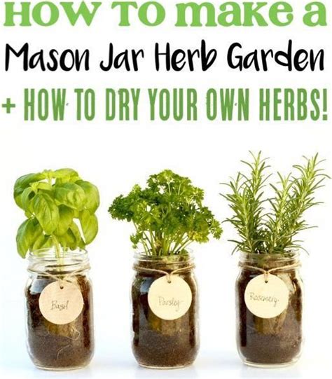 Diy Mason Jar Herb Garden Indoor Herbs For The Kitchen Mason Jar