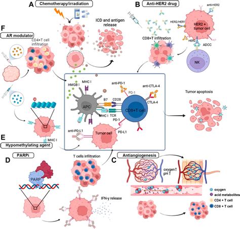 Frontiers Combinatorial Strategies With Pd 1pd L1 Immune Checkpoint
