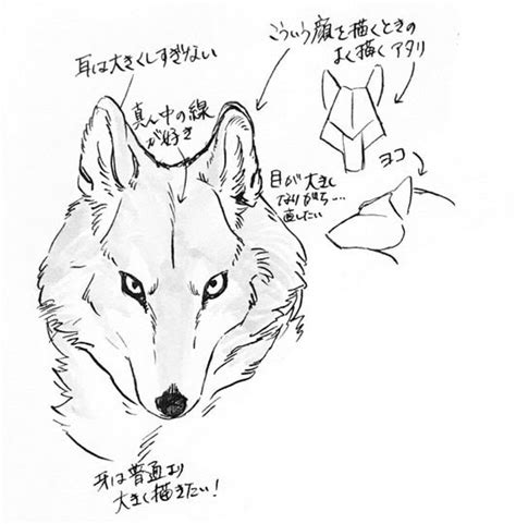 See more of 風鈴資訊 on facebook. 最高のコレクション 狼 イラスト 描き 方 197549-かっこいい 狼 ...