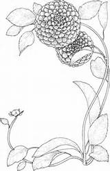 Zinnia Coloring Flowers Printable Supercoloring Categories sketch template