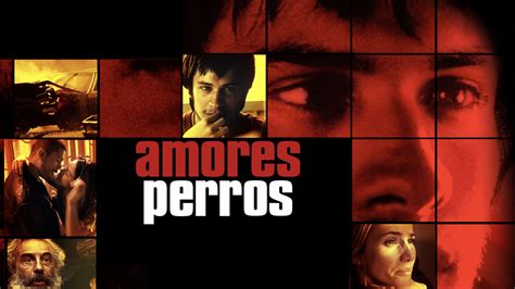 Amores Perros 2000 Backdrops — The Movie Database Tmdb