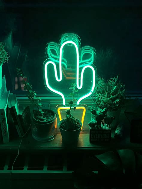 Hd Wallpaper Led Cactus Neon Light On Table New York 122 Nassau St