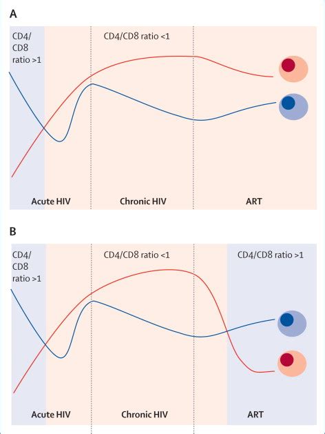 Cd4cd8 Ratio An Emerging Biomarker For Hiv The Lancet Hiv