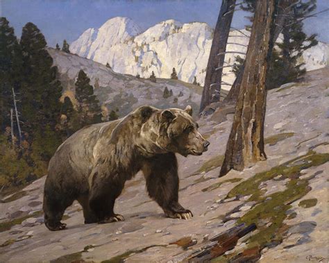 Carl Rungius 1869 1959 Silver Tip Grizzly Bear Rocky Mountains