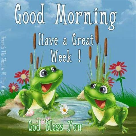 Funny Frogs Cute Frogs Good Morning Picture Morning Pictures Frogs