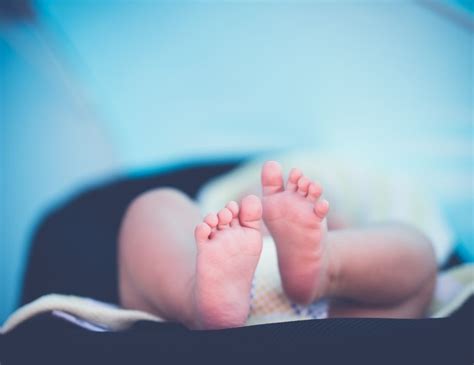 Free Photo Soft Newborn Baby Feet Against A Blue Blurred Background