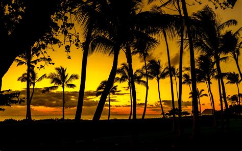 Download Wallpaper 3840x2400 Palms Sunset Tropics Shore Dark 4k