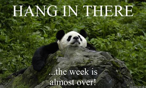 Hang In There The Week Is Almost Over Misc Quickmeme