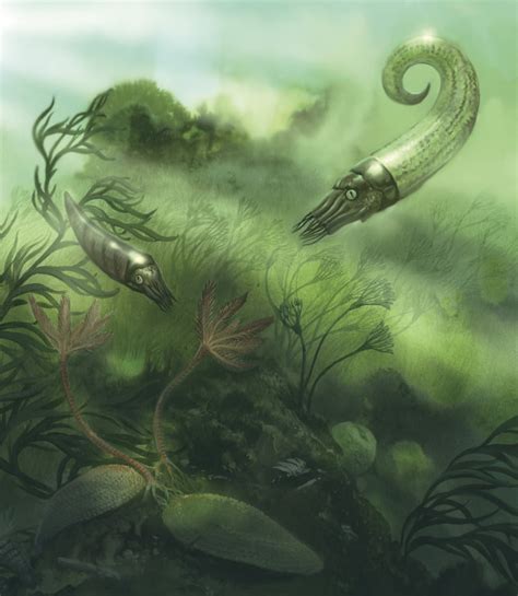 Artists Concept Of The Incredible Forms Of Life Found In Silurian Seas