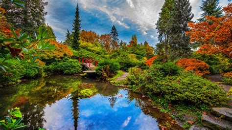 Japanese Garden With Reflection On Pond Seattle 4k 5k Hd Travel