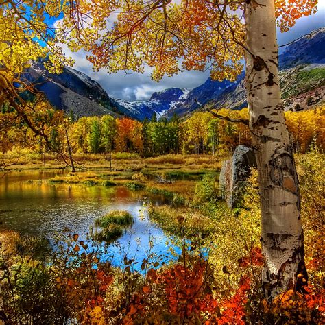 Amazing Autumn Scenery Wallpaper For Ipad Air