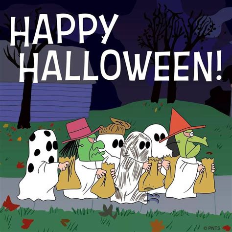 Pin By Connie Witherell On Halloween Charlie Brown Halloween Happy