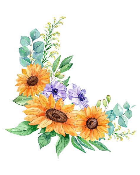 Sunflowers Watercolor Clip Art Realistic Flower Summer Herb Etsy
