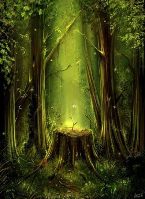 Magical Night Fantasy Landscape Fantasy Forest Magical Forest