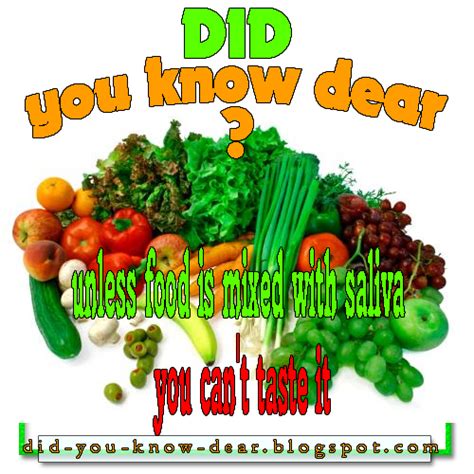 Unless Food Is Mixed With Saliva You Cant Taste It Did You Know