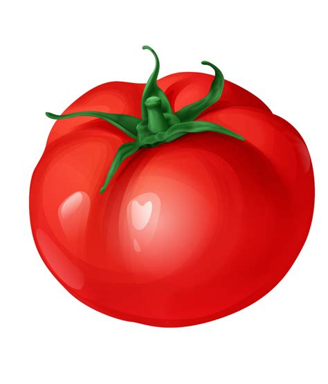 Download Tomato Clip Art Free Hq Png Image Freepngimg Clip Art Library