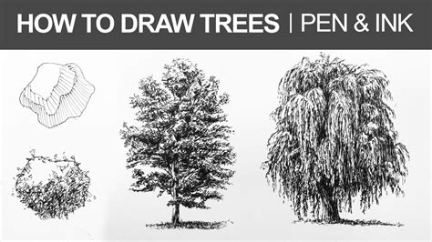 How To Draw Trees With Pen And Ink Youtube