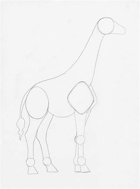 Learn How To Draw A Giraffe In This Step By Step Tutorial Laptrinhx