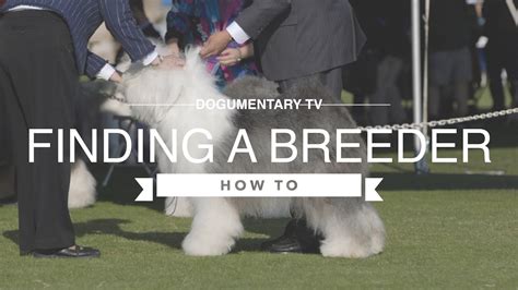 The Best Way To Find A Good Breeder Youtube
