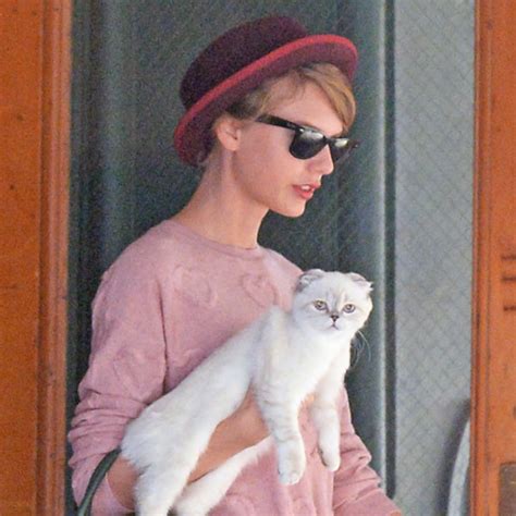 Taylor Swifts Cat Is 3rd Wealthiest Pet